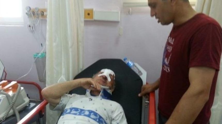 Bartın&rsquo;da Ağa&ccedil;tan D&uuml;şen Yaşlı Adam Yaralandı