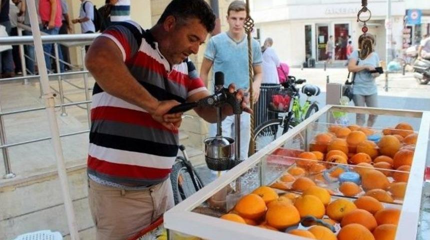 Sıcaklar İnsanları Da, Hayvanları Da Bunalttı