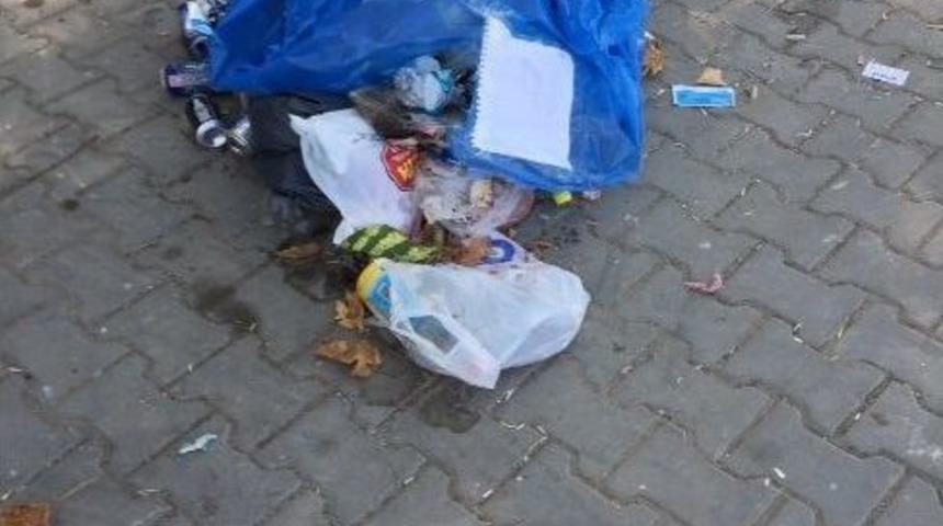 Elinden Giden Barınaktan Hizmeti De &Ccedil;ekti