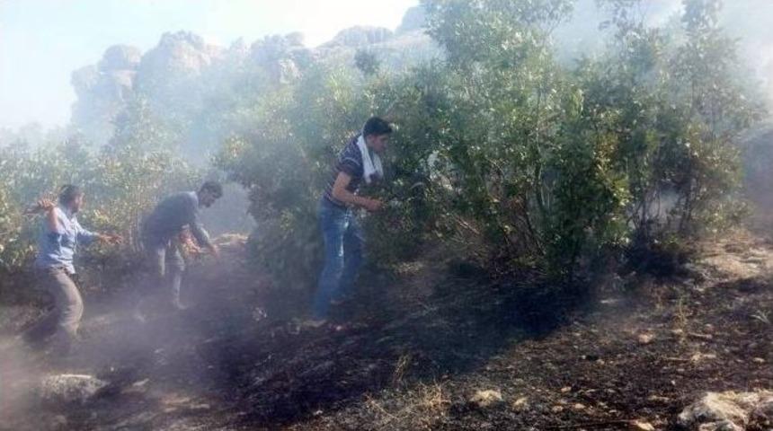 Silvan&rsquo;da 6 Altı K&ouml;yde Yangın &Ccedil;ıktı