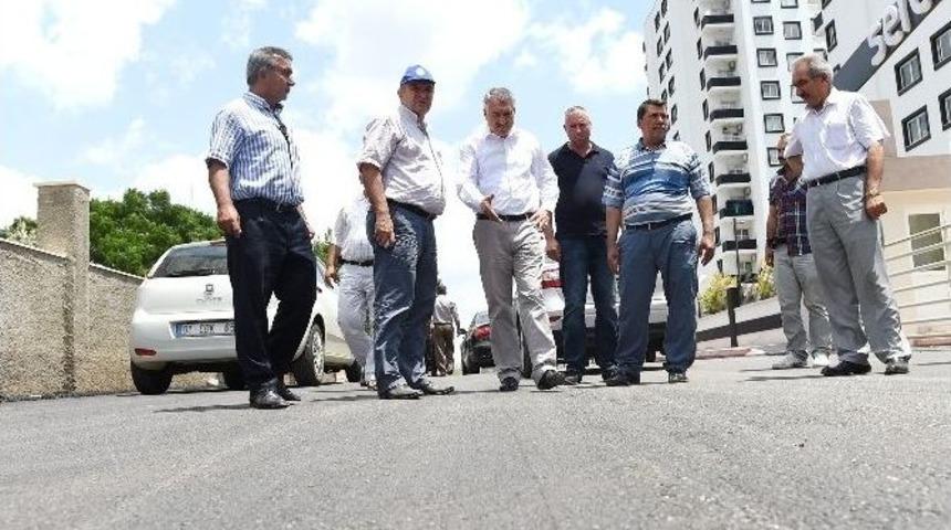 Seyhan, Asfalt Ve Kilitli Parkede Rekor Kırdı