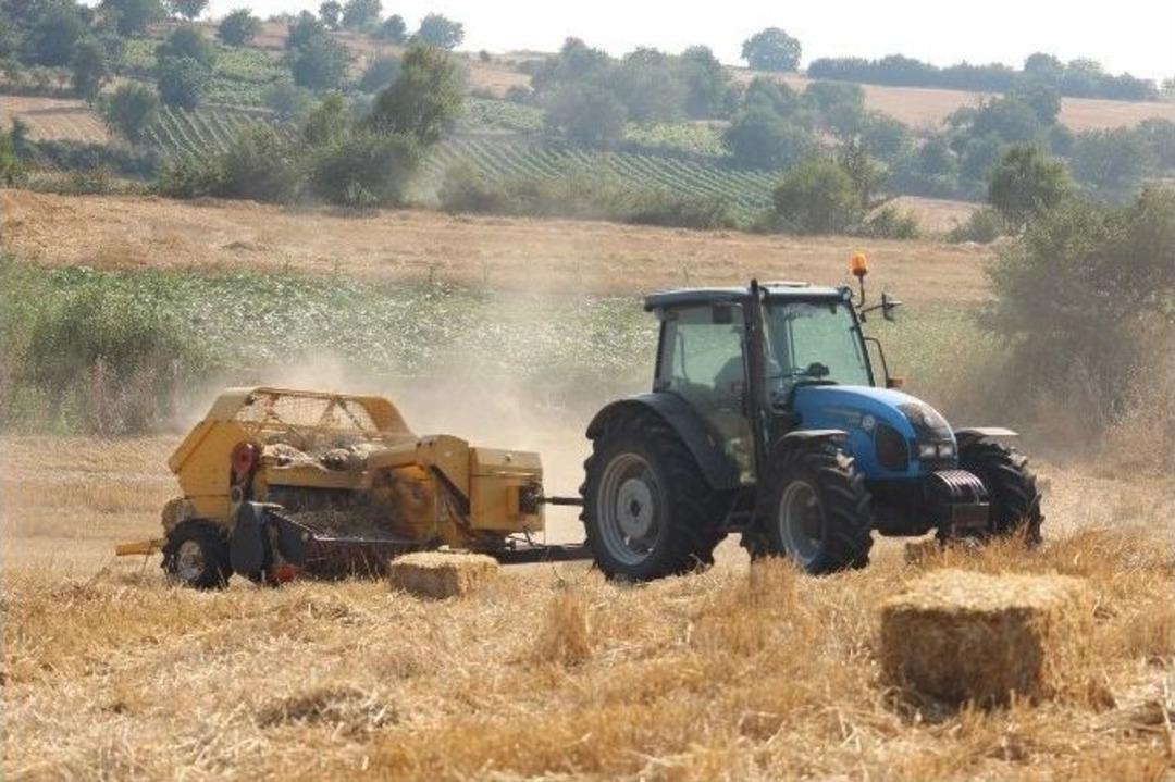 40 Derece Sıcakta Gen&ccedil;lerin Ekmek M&uuml;cadelesi