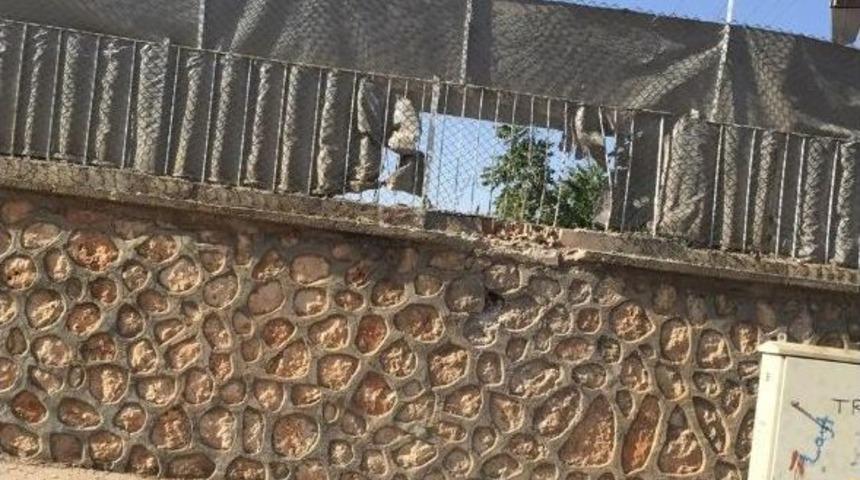 Darge&ccedil;it&rsquo;te Kaymakam Evine Saldırı