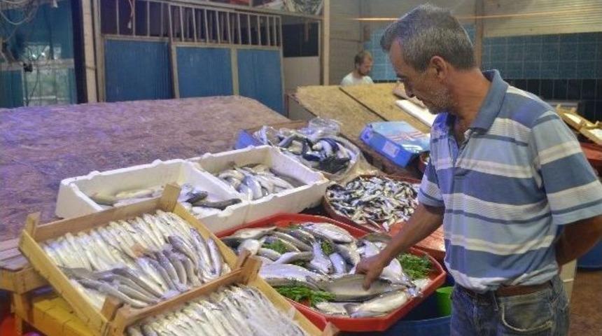 Yaz Sezonunda Balık Tezgahları Cılız Kaldı