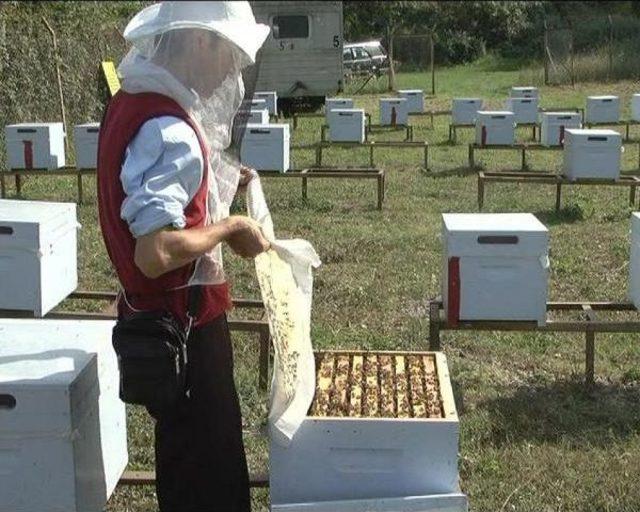 Ordu&rsquo;Ya 10 Milyon Euro&rsquo;Luk Bal Paketleme Tesisi 2