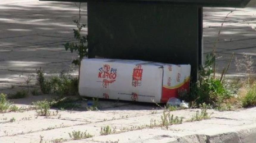 Ş&uuml;pheli Paketten &Ccedil;&ouml;p &Ccedil;ıktı