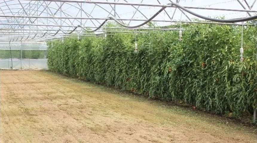 Sarıcakaya Tarımda Başarısını Katlayacak