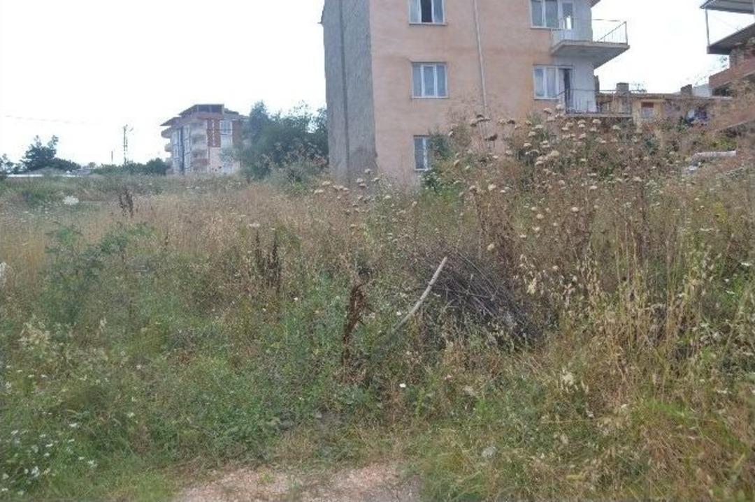 Fare Ve Yılan N&ouml;beti Tutuyorlar