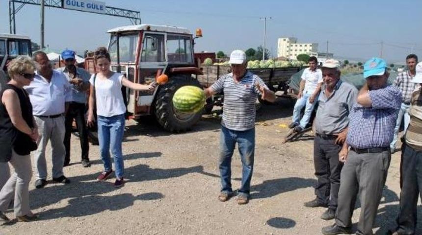 Karacabey&rsquo;De Karpuz &Uuml;reticileri Alıcı Bulamıyor