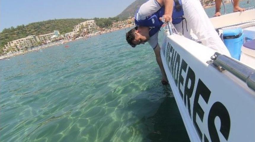 Menderes Sahilleri Tertemiz