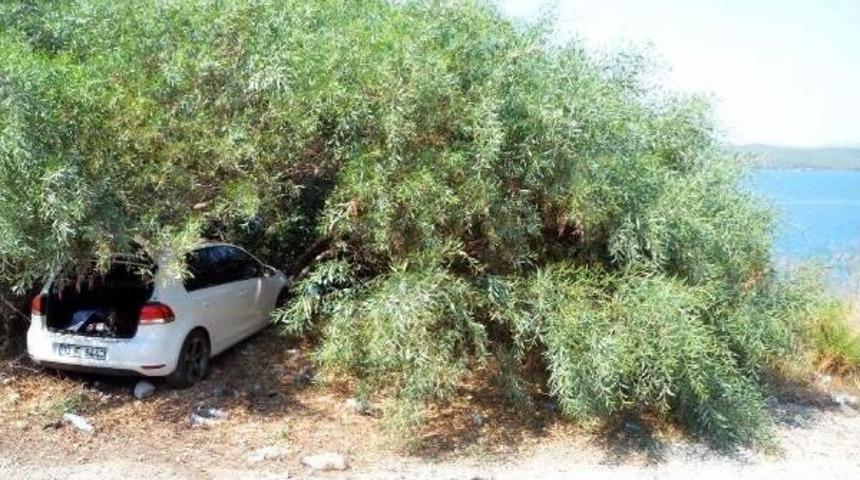 U&ccedil;uruma D&uuml;şmekten Ağa&ccedil; Kurtardı