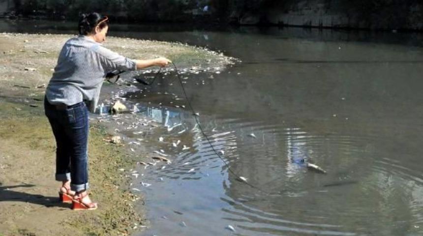 Bartın Irmağı'nda Balık &Ouml;l&uuml;mleri Korkuttu