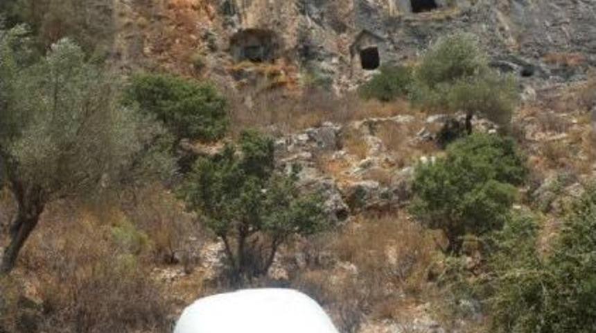 Rock Graves To Be Protected With Wire Cloth