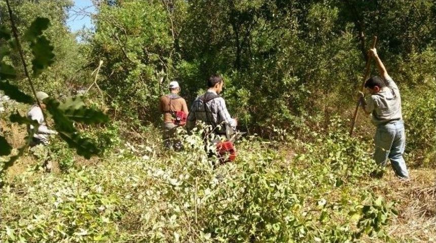 Demre&rsquo;de Mezarlıklardaki Bakım &Ccedil;alışmaları S&uuml;r&uuml;yor