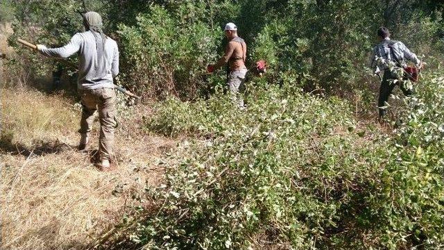 Demre’de Mezarlıklardaki Bakım Çalışmaları Sürüyor