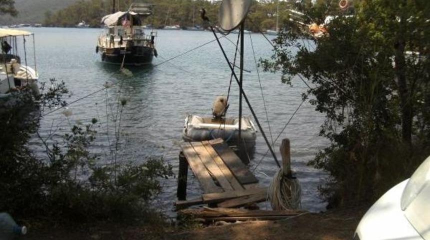 &Uuml;nl&uuml; Denizci Boro'nun Cennetinde Yapılaşmaya Tepki