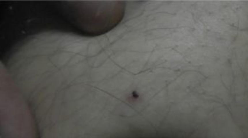 Kulu&rsquo;da Kene Vakaları &Ccedil;oğaldı