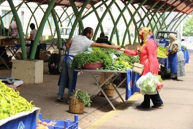 Talas’da Yüzde 100 Ekolojik Pazar Açıldı