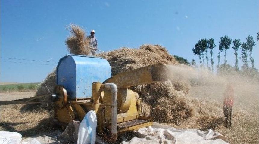 Sıcak Havada &Ccedil;ift&ccedil;inin Patoz Mesaisi