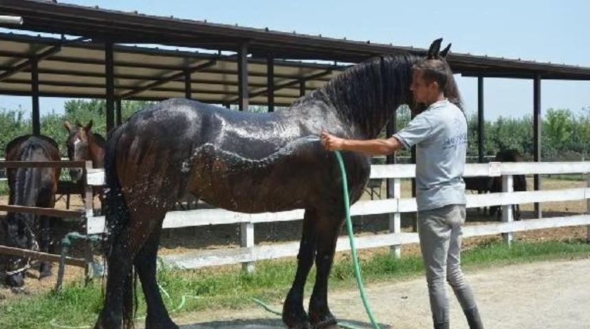 Bursa&rsquo;Da Bunlatan Sıcak