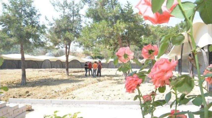 Osmanlı Padişahları Tarih Şeridi Projesi Hizmete Giriyor