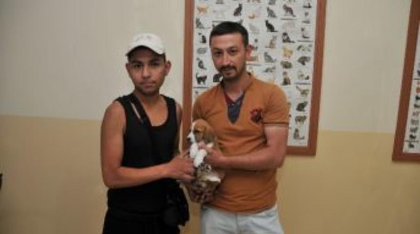 Minik Yavru Almanya Yolcusu