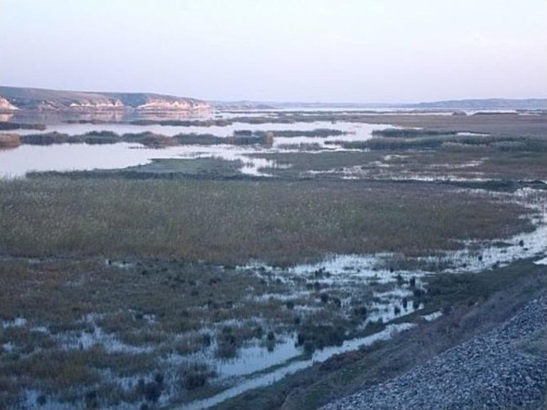 Karkamış Ovası &Ouml;z&uuml;ne D&ouml;necek