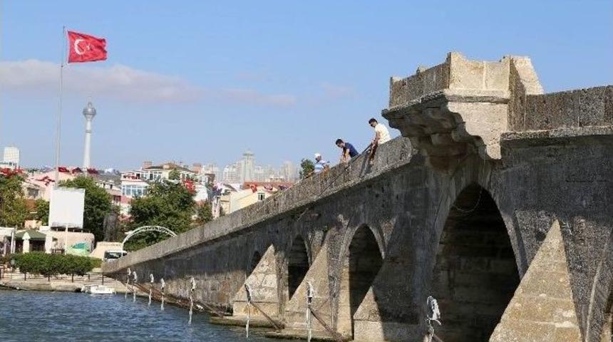 B&uuml;y&uuml;k&ccedil;ekmece G&ouml;l&uuml;&rsquo;ndeki Islah &Ccedil;alışması Meyvelerini Vermeye Başladı