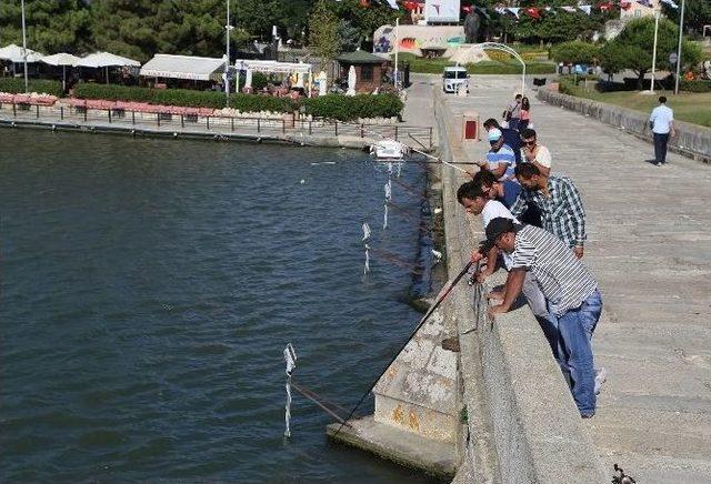 Büyükçekmece Gölü’ndeki Islah Çalışması Meyvelerini Vermeye Başladı