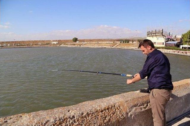 Büyükçekmece Gölü’ndeki Islah Çalışması Meyvelerini Vermeye Başladı