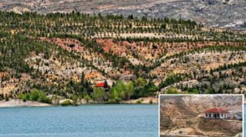 Orman Ve Su İşleri Bakanlığı&rsquo;ndan Hayatın Kaynaklarına Yeşil Makyaj