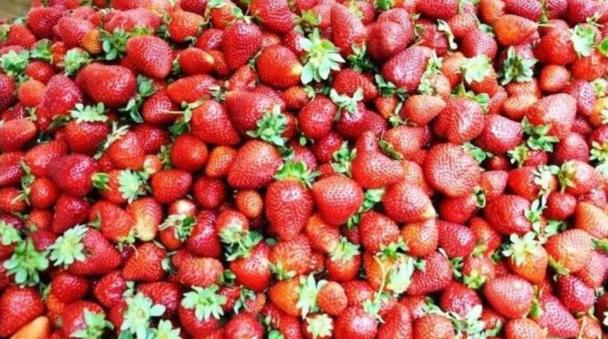 Yerli &Ccedil;ilek Tezgahlarda