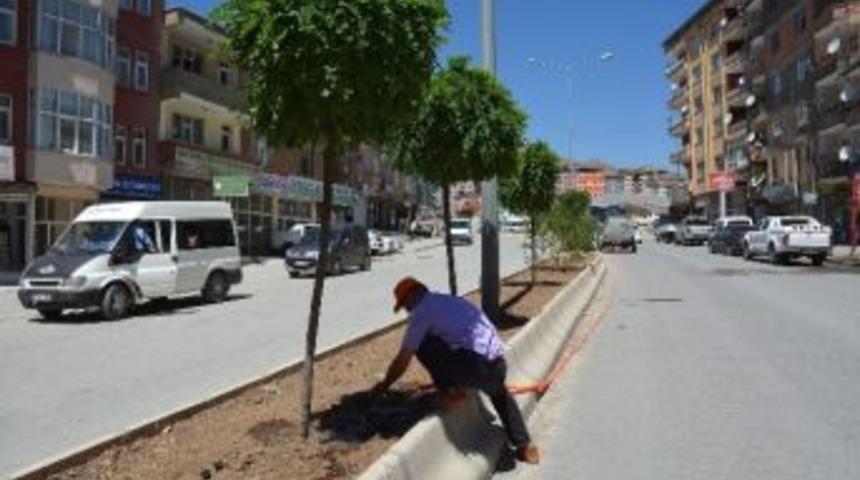 Hakkari&rsquo;de Ağa&ccedil; Sulama &Ccedil;alışması