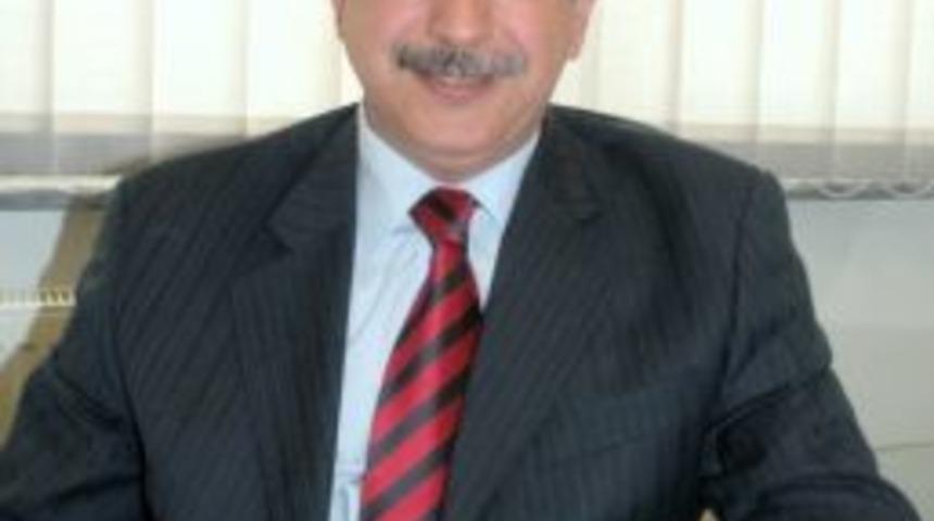 Ormanlardaki Meyve Ağa&ccedil;ları Kesilince A&ccedil; Kalan Ayılar Şehre İniyor