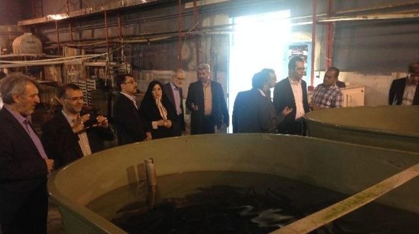 İranlı Akademisyen Heyetinden Su &Uuml;r&uuml;nleri Fak&uuml;ltesine Ziyaret