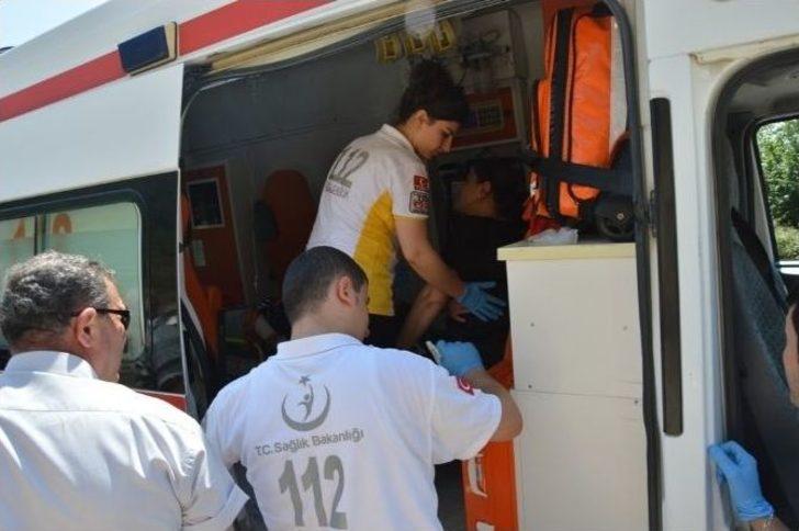 Niksar’da Zincirleme Trafik Kazası: 10 Yaralı G2