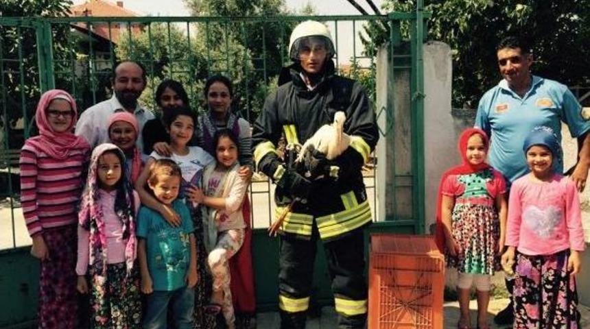 Yuvadan D&uuml;şen Leyleğe Itfaiyeden Yardım Eli