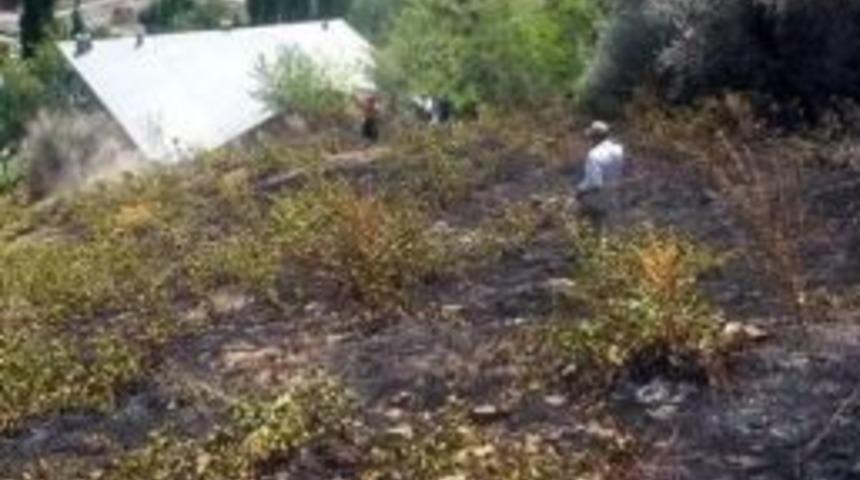 Adıyaman&rsquo;da 2 D&ouml;n&uuml;m Bağ Yandı