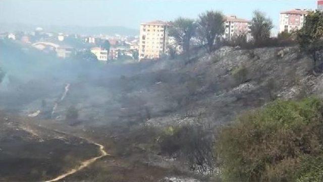 Maltepe Cezaevi Yanındaki Otluk Alanda Yangın(1)