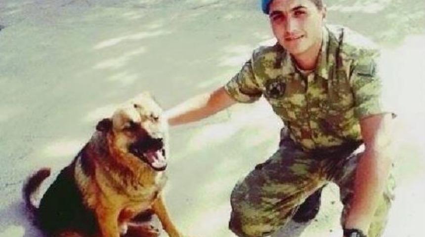 Şırnak'ta Şehit Olan Hamza Yıldırım'ın Ankara'daki Baba Evine Ateş D&uuml;şt&uuml;
