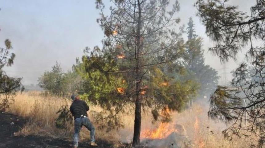 Atat&uuml;rk Barajı &Ccedil;evresindeki Ormanlık Alanda Yangın (2)