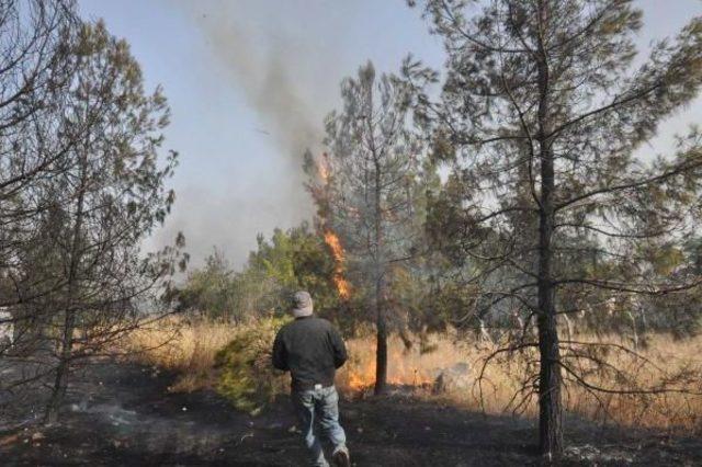 Atatürk Barajı Çevresindeki Ormanlık Alanda Yangın (2)