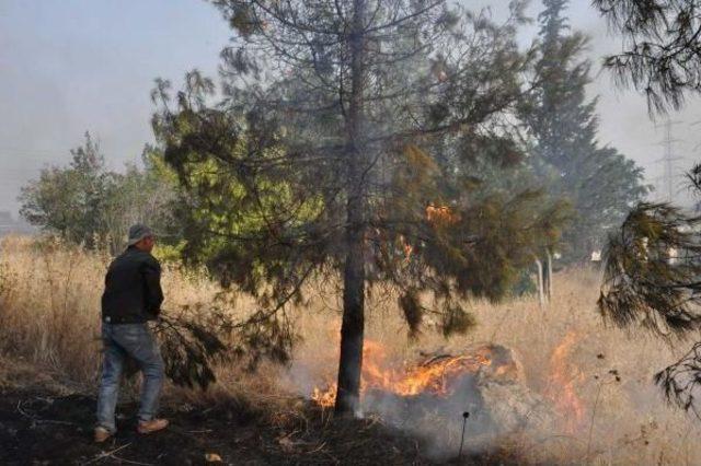 Atatürk Barajı Çevresindeki Ormanlık Alanda Yangın (2)
