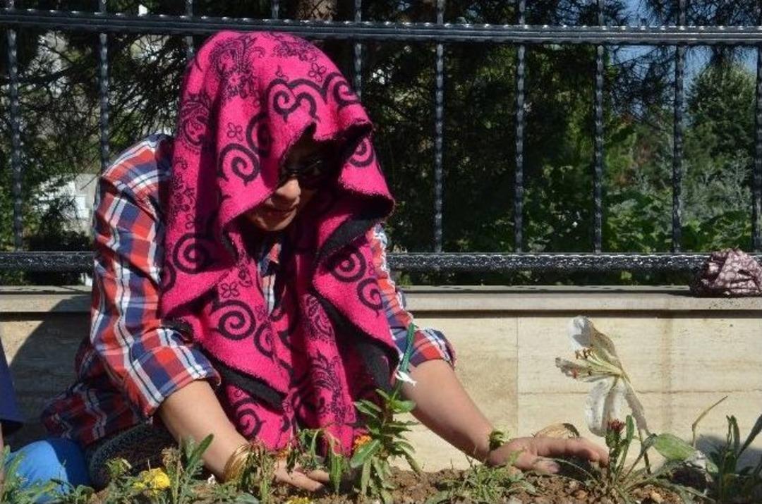 Vietnamlı Tuanvi, Şehit Eşinin Mezarında G&ouml;zyaşı D&ouml;kt&uuml;