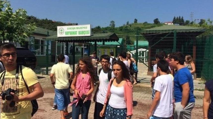 Alman Gen&ccedil;ler &ldquo;&ccedil;ocuk İş&ccedil;iliğine Hayır&rdquo; Demek İ&ccedil;in Fındık Topladı