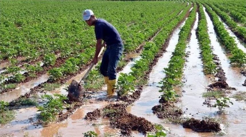 Kavurucu Sıcakların Altında Sulama