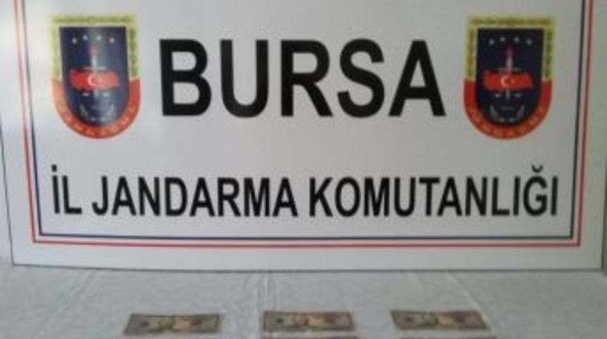 Ş&uuml;pheli Ara&ccedil;tan Sahte Dolarlar &Ccedil;ıktı