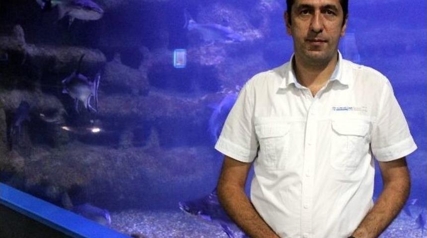 Sualtı D&uuml;nyasına 1,5 Yılda 1 Milyon Ziyaret&ccedil;i