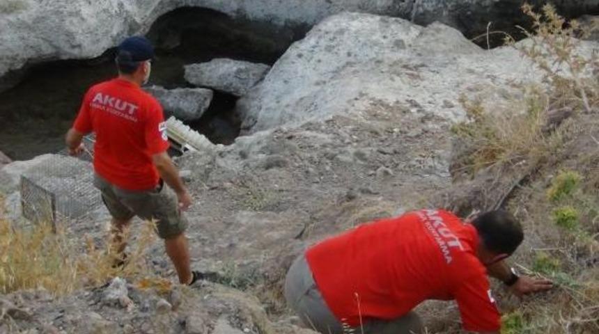 Adada Mahsur Kalan Kediye Akut Operasyonu