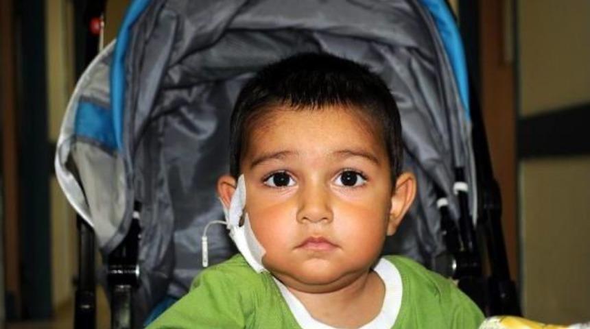 Minik Habip'e Annesi, B&ouml;breğiyle Yeniden Can Oldu